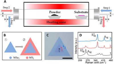 Dislocation-driven growth of WS2/WSe2 quantum well superlattices